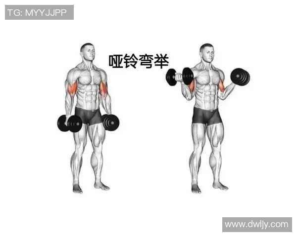 哑铃推举的锻炼部位解析及其对肌肉发展的重要性